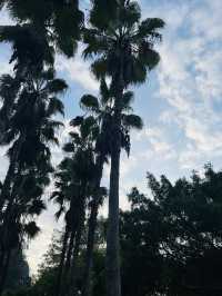 魚峰山公園！（728）