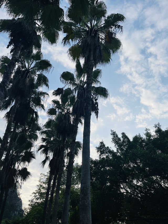 魚峰山公園！（728）