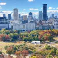 🇯🇵大阪城公園 天守閣 五彩秋葉與綿延山脈