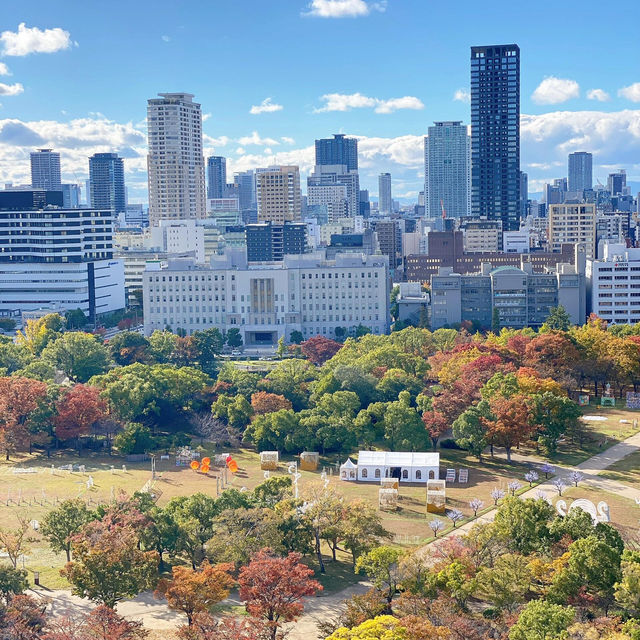 🇯🇵大阪城公園 天守閣 五彩秋葉與綿延山脈