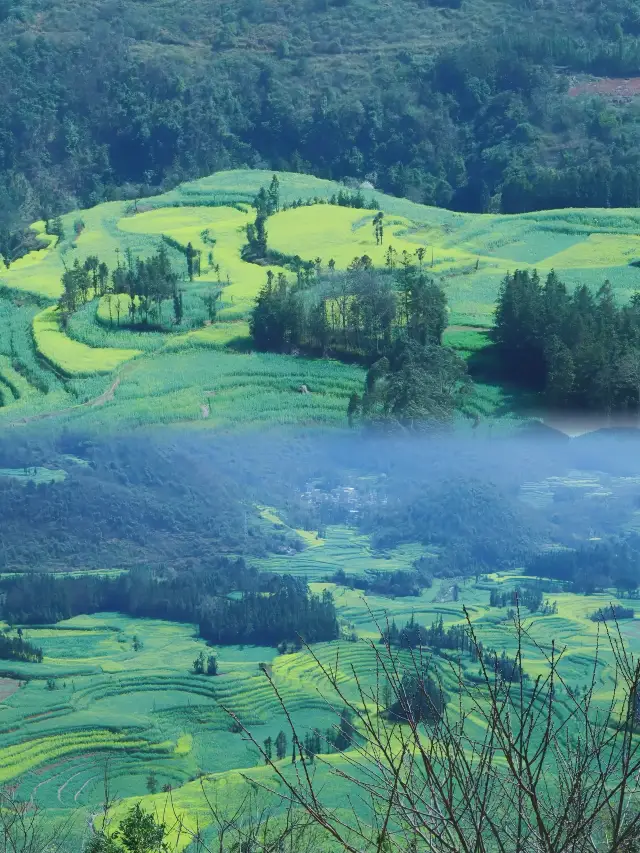 Luoping Spring Rapeseed Flowers Viewing in the Snail Fields