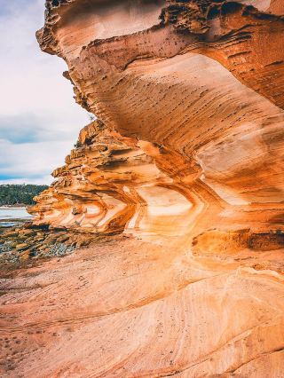 Full of useful information! Save this guide before visiting Maria Island in Tasmania.