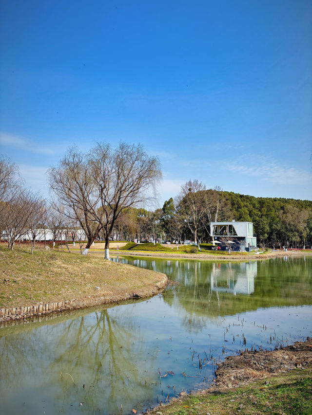 邂逅春天：在嘉興植物園赴一場春日花事