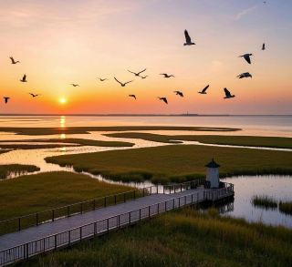 Poyang Lake National Wetland Park | Where the Sunset and Lone Goose Take Flight