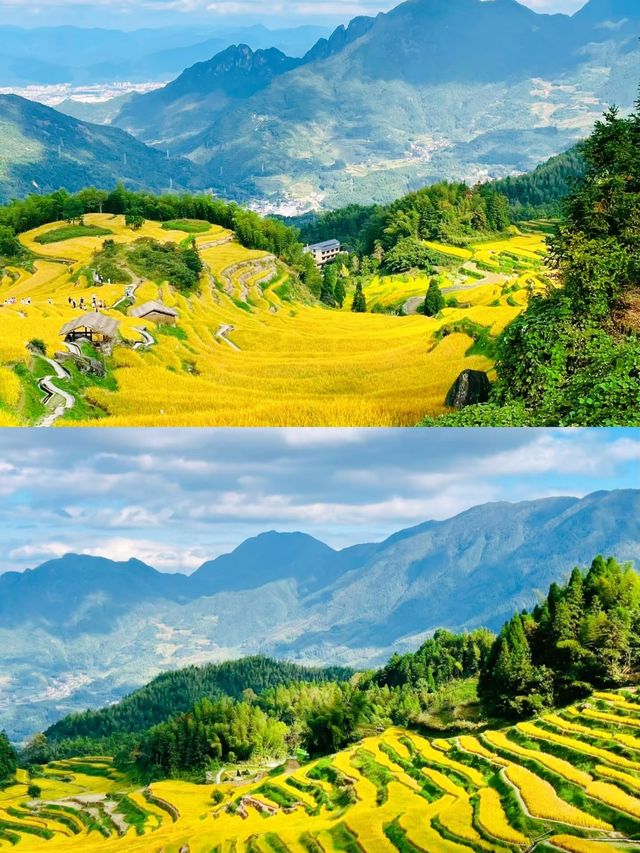 雲和梯田，隱藏在山間的夢幻田園