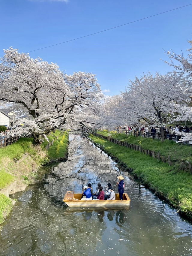 目黑川的浪漫之旅：東京的水岸風情