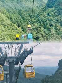 他們都讓我來這裡