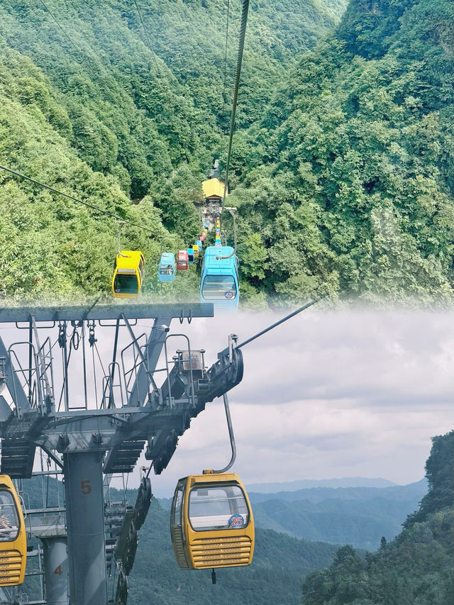 他們都讓我來這裡 他們都讓我來這裡