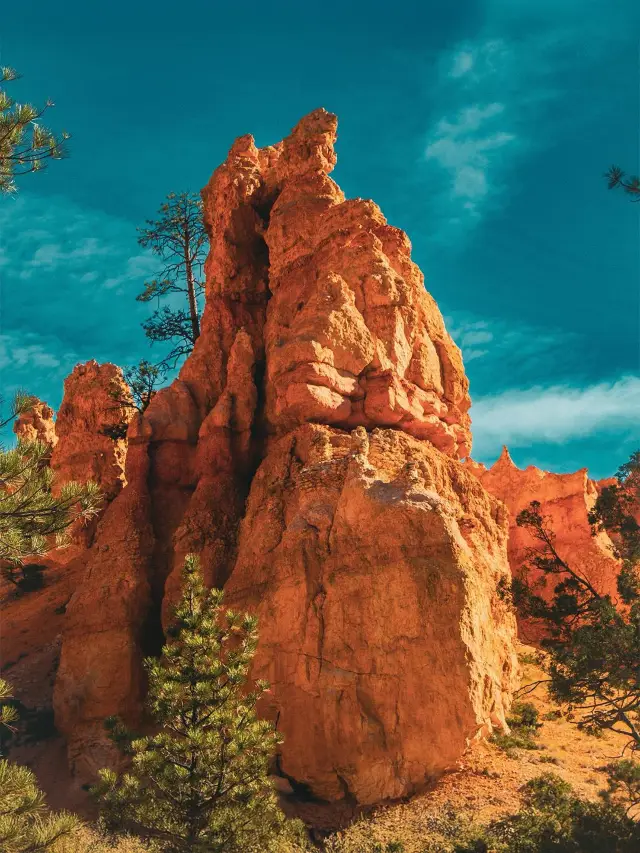 ลาสเวกัสไปกลับ｜ทัวร์แกรนด์แคนยอน 2 วัน $278