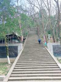春天，台州黃岩呢個公園藏住最治癒嘅角落