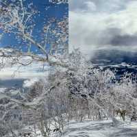 北海道滑雪，二世古絕對是你的不二之選