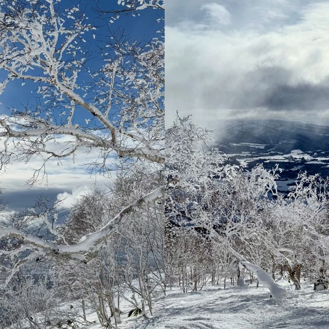 北海道滑雪，二世古絕對是你的不二之選