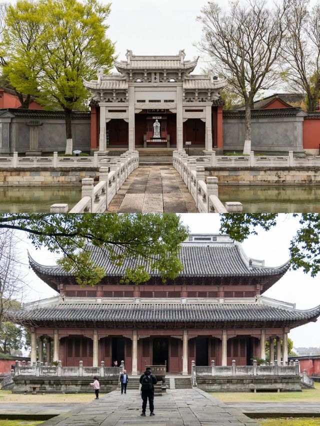 接下來的海寧，是萬萬次春光明媚