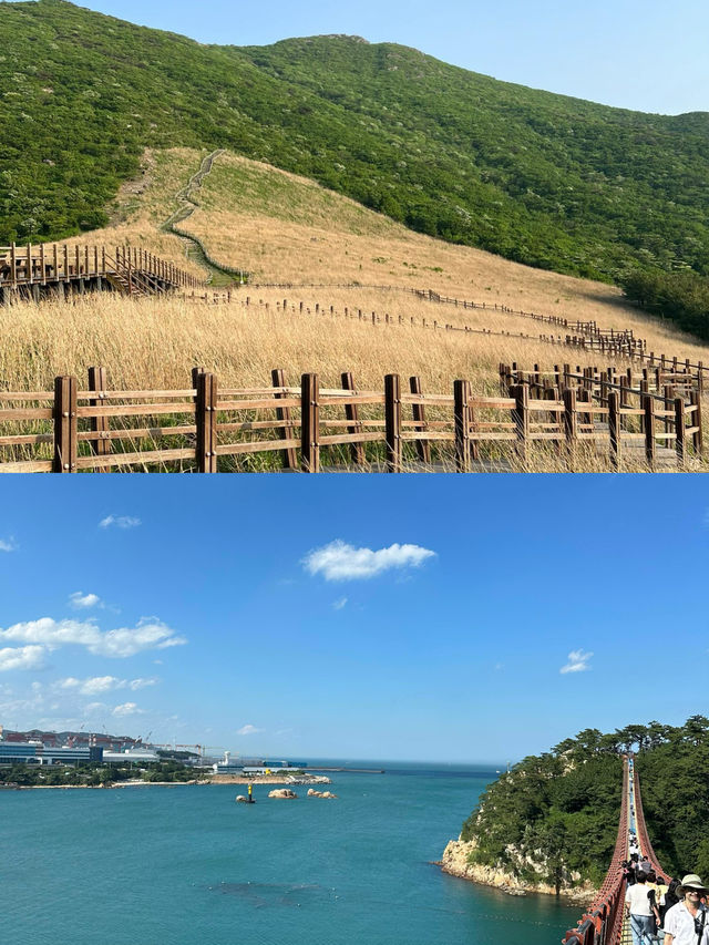 蔚山｜解鎖韓國小眾寶藏的夢幻之旅