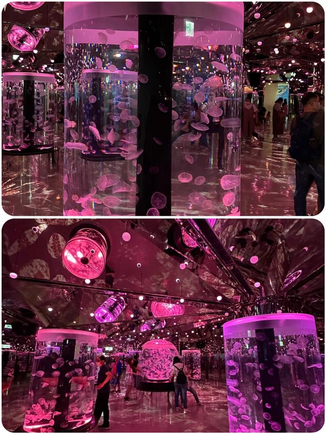 桃園Xpark水族館探秘攻略！親子遊玩好去處，美食購物兩不誤