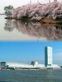 新潟｜日本小眾寶藏地的獨特之旅
