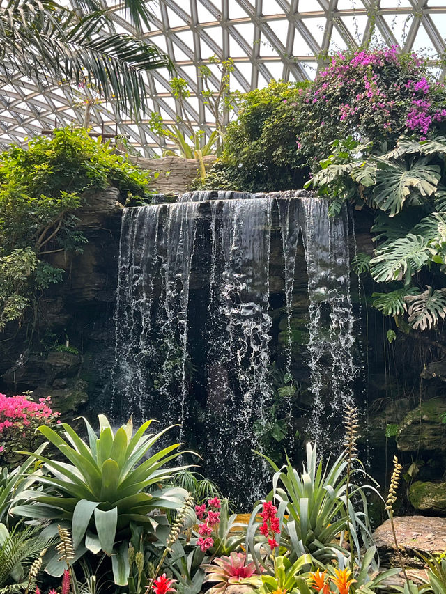 上海辰山植物園 | 賞春踏青攻略