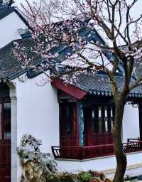 蘇州柴園