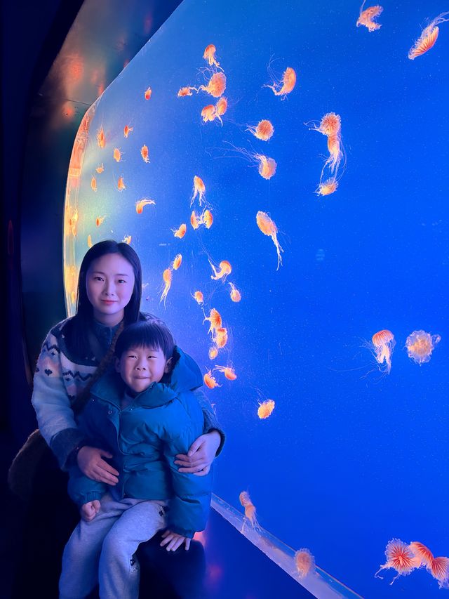 南京海底世界親子遊唔攰攻略