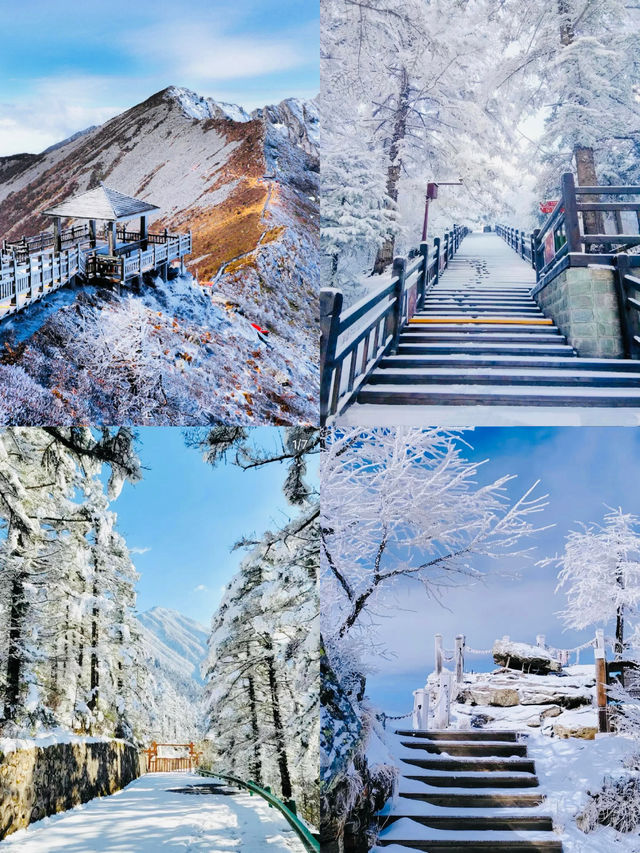太白山之巔，綠意盎然國家公園