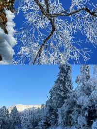 冰雪奇境·人間仙境·美到窒息——王崗坪