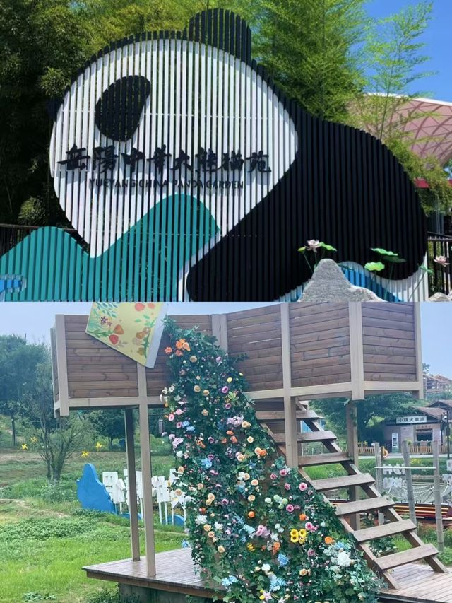 岳陽已回，朋友圈都怎爆了。