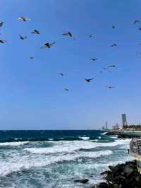 Jeddah Corniche Vibes 🌴🌊🌅✨