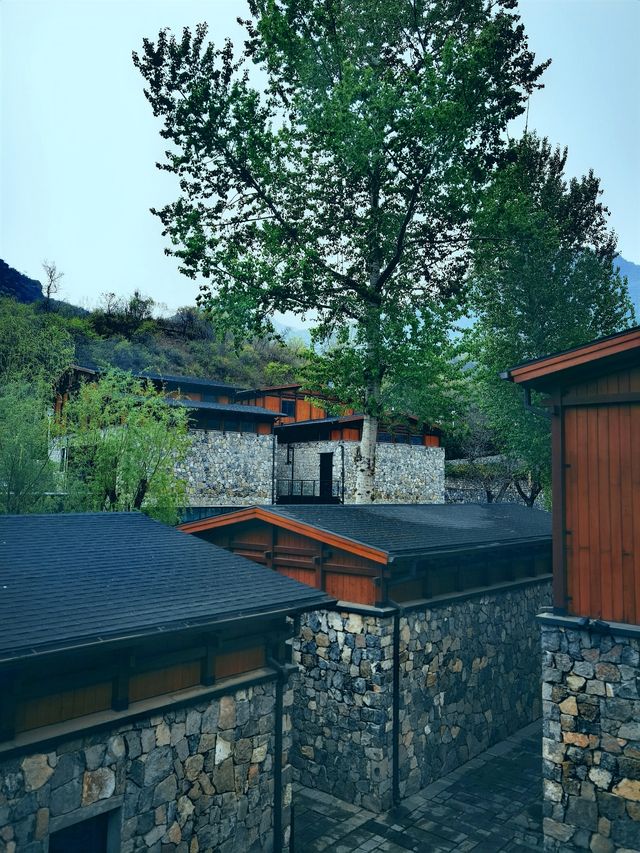 春雨洗禮，隱北•達摩民宿的綠野仙蹤