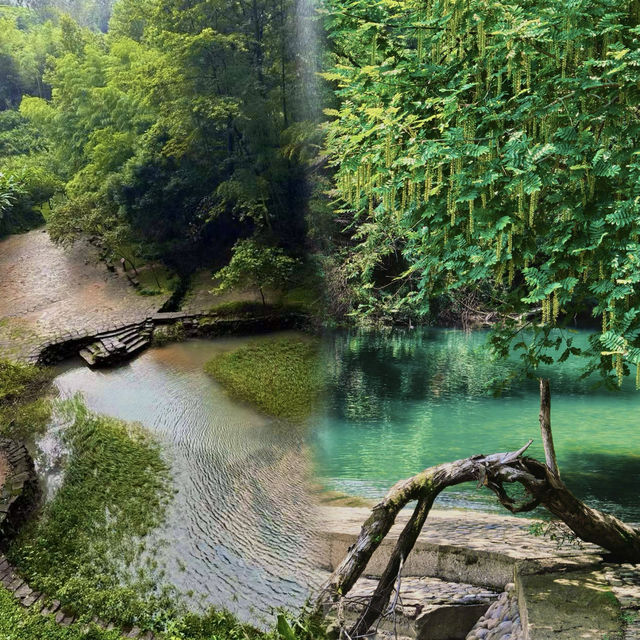 武夷山 大自然私藏嘅山水美卷