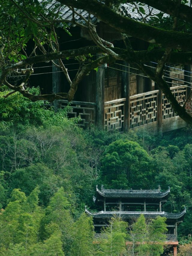 雲髻山古鎮，這個網紅景點憑什麼爆火出圈？