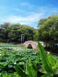 銅陵旅遊必備攻略（超全）