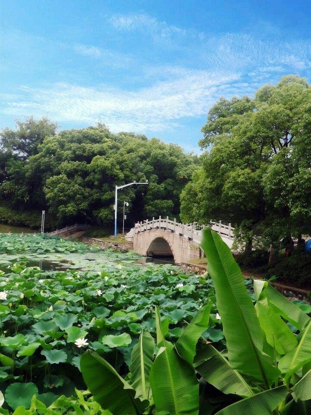 銅陵旅遊必備攻略（超全）