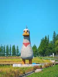 上海自駕1小時｜江浙滬親子鄉野漫遊新玩法