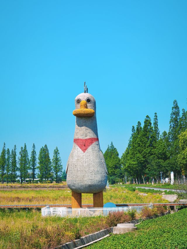 上海自駕1小時｜江浙滬親子鄉野漫遊新玩法