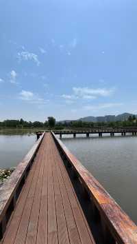 打卡太湖圖影濕地文化園