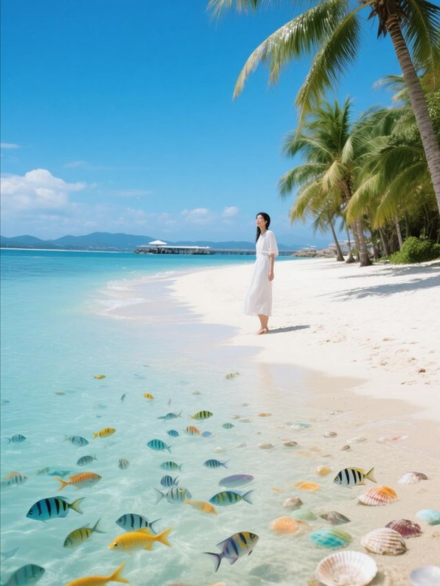 超全！三亞西島必知攻略，帶你邂逅玻璃海與浪漫漁村
