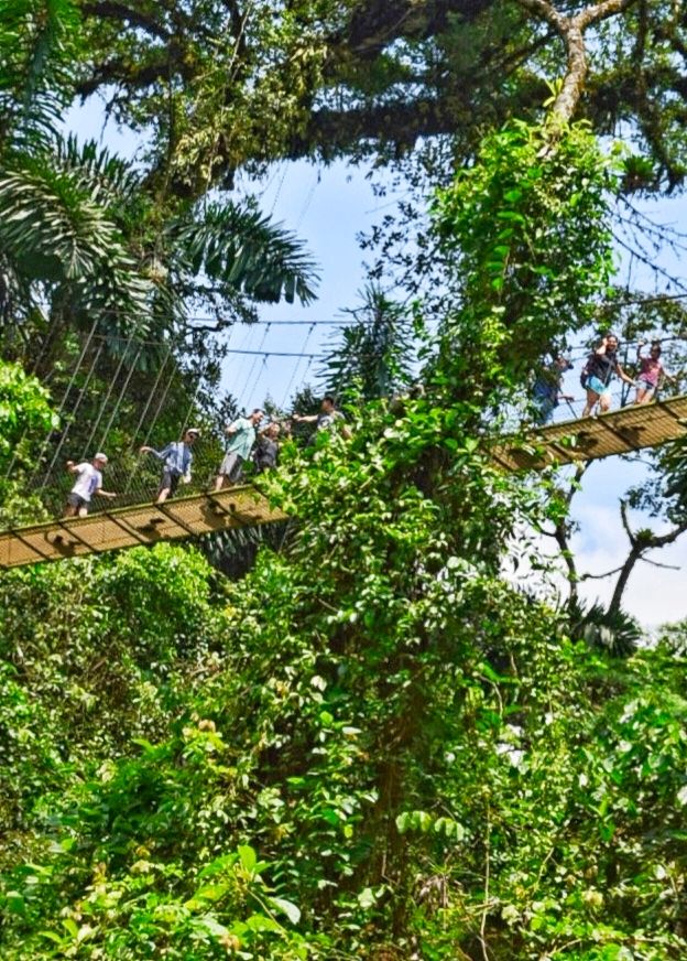 走世界系列中美洲篇：哥斯達黎加-阿雷納火山區