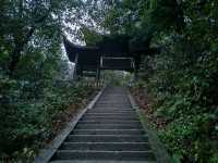 峨眉山｜雲海之上的靈性淨土