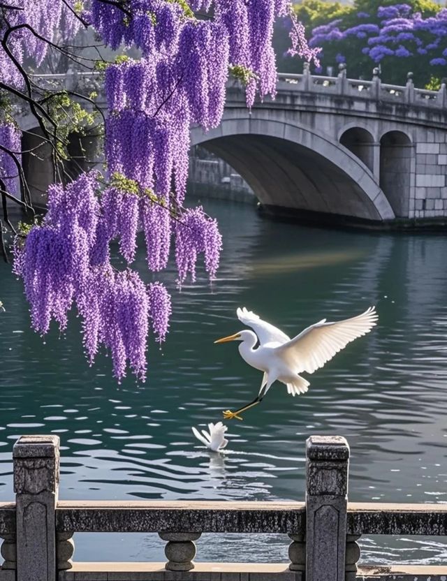 昆明之旅：春城嘅浪漫與煙火
