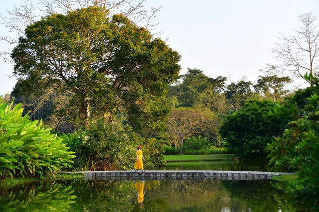 西雙版納熱帶植物園：熱帶植物王國