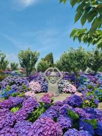 🌸濟州島西歸浦市繡球花園 | 夏日限定浪漫