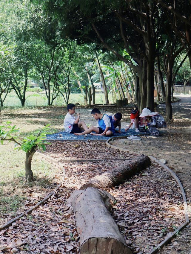喺成都，我真係被深深治癒咗