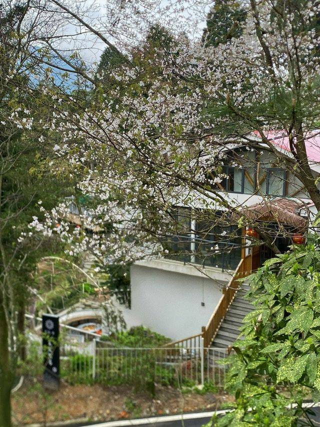 我打卡了花築奢·廬山覓嵐隱居民宿（廬山會議舊址店）