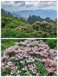 仙山問道指南｜三清山的雲端奇遇記
