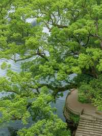 婺源隱藏玩法！帶娃包場唐宋山水畫卷