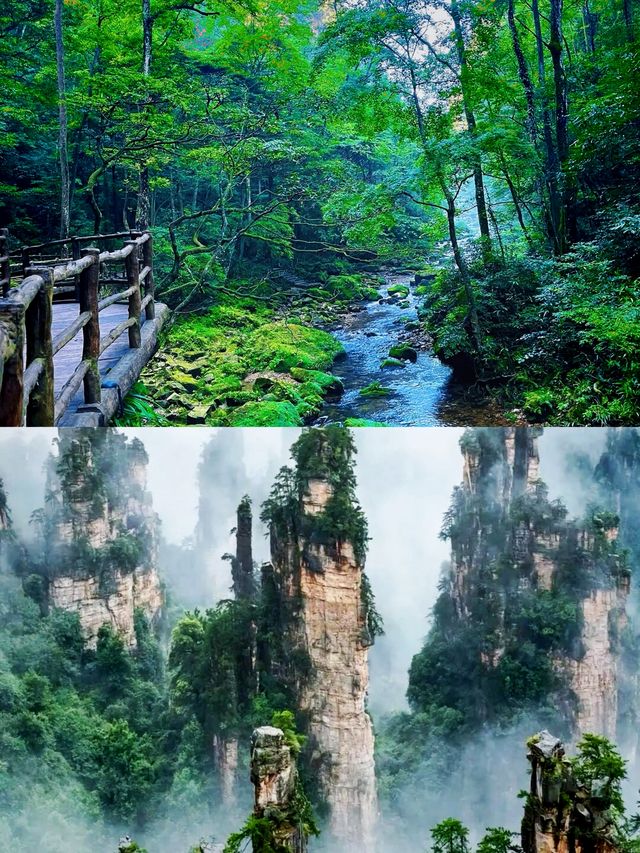 仙境張家界，奇峰三千醉天下