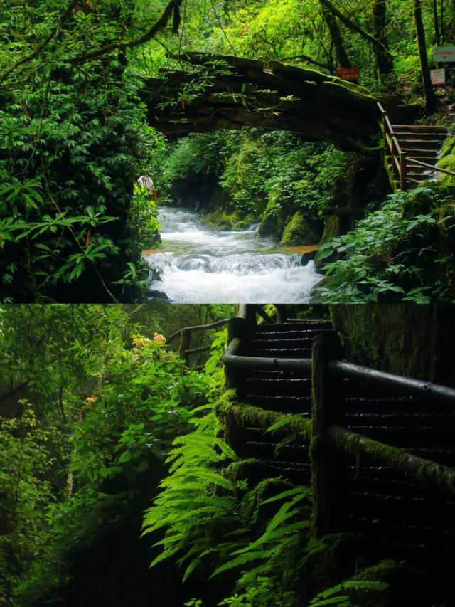 浙江天台山，千年古剎旁的禪意之旅，超靈驗