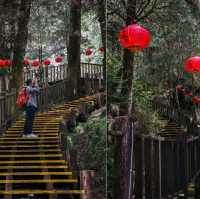เดินเล่นป่าโบราณไต้หวัน Taipingshan