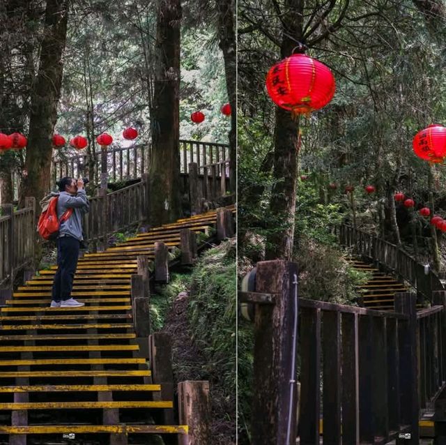 เดินเล่นป่าโบราณไต้หวัน Taipingshan