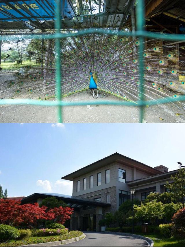 全家開心嘅好去處，安吉香溢等緊你！